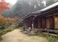 浄瑠璃寺の写真・動画_image_16790