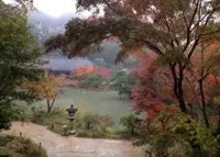 浄瑠璃寺の写真・動画_image_16792