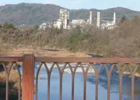 新秩父橋の写真・動画_image_19365