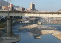 宝塚大橋の写真・動画_image_19847