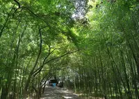 お茶屋屋敷跡の写真・動画_image_20424