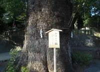 五所神社の写真・動画_image_20539