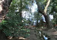 生田神社の写真・動画_image_20724