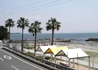 トロピカルな海岸の写真・動画_image_26614