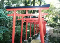 金澤神社の写真・動画_image_27461