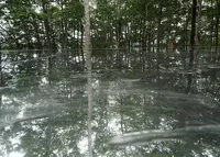 空気神社の写真・動画_image_47185