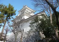 大垣城の写真・動画_image_57736
