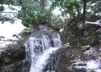白山比咩神社の写真・動画_image_62698