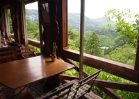 ドーシェルの写真・動画_image_68216