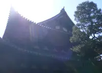 龍寶山　大徳寺の写真・動画_image_72632