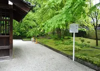 下鴨神社（賀茂御祖神社）の写真・動画_image_76552