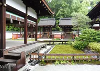 下鴨神社（賀茂御祖神社）の写真・動画_image_76553