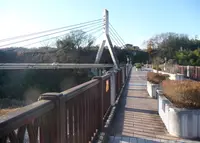 新秩父橋の写真・動画_image_126204