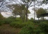 千島公園の写真・動画_image_135004