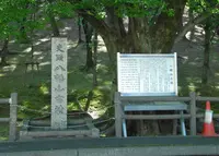 八幡山古墳の写真・動画_image_136753