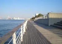 コスモスクエアの写真・動画_image_143399