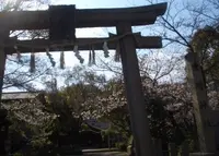 豊崎神社の写真・動画_image_149414