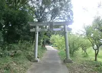 藤阪菅原神社の写真・動画_image_154758