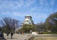 大阪城の写真・動画_image_162686