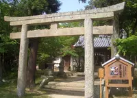 賀集八幡神社の写真・動画_image_169647