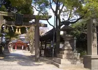 大隅神社の写真・動画_image_176008