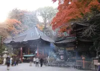 水澤観世音（水澤寺）の写真・動画_image_185071