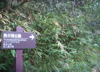 鼓ケ滝公園の写真・動画_image_188343