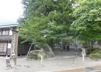 白川八幡神社の写真・動画_image_195865