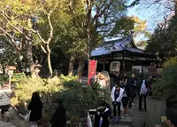 安居神社の写真・動画_image_210831