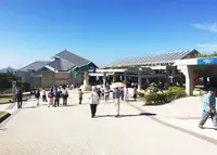 沖縄美ら海水族館の写真・動画_image_210897