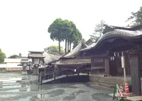 阿蘇神社の写真・動画_image_211558