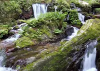 瓜割の滝の写真・動画_image_231957