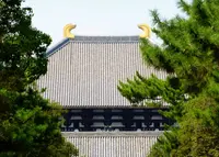 東大寺の写真・動画_image_262495