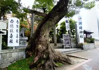 洲崎神社の写真・動画_image_290056