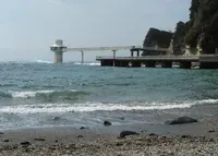 勝浦海中公園海中展望塔の写真・動画_image_430091