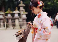 レンタル着物 奈良公園 /奈良富士きものの写真・動画_image_538440