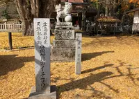 筒賀の大銀杏の写真・動画_image_846727