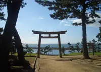 住吉神社の写真・動画_image_970608