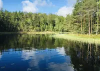 Nuuksio National Parkの写真・動画_image_973698