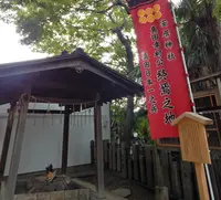 安居神社の写真・動画_image_94755