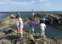 照ヶ崎海岸の写真・動画_image_30172