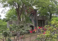 茨城県植物園の写真・動画_image_30909