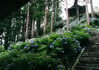 徳栄山妙法寺の写真・動画_image_33577