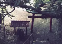 厳島神社の写真・動画_image_33703