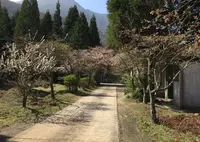 霧島神社の写真・動画_image_40703