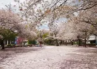 富岡市役所 の写真・動画_image_44063