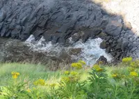 ウトロ崎灯台とフレペの滝の写真・動画_image_72239