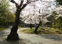 高松公園の写真・動画_image_74124
