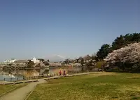 高松公園の写真・動画_image_74125