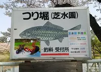 高松公園の写真・動画_image_74162